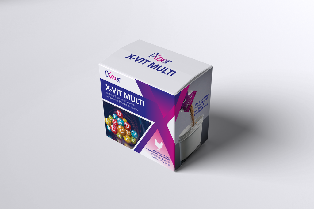 X-VIT MULTI